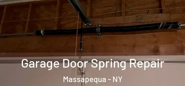  Garage Door Spring Repair Massapequa - NY